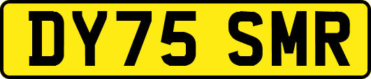 DY75SMR