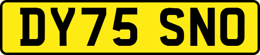 DY75SNO