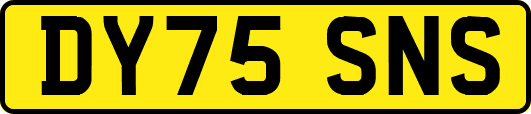 DY75SNS