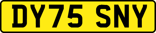 DY75SNY