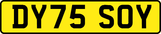 DY75SOY