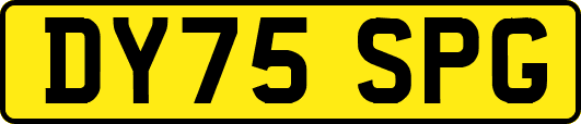 DY75SPG