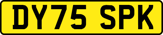 DY75SPK