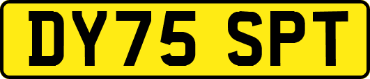DY75SPT
