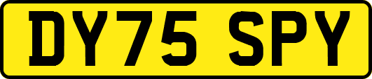 DY75SPY