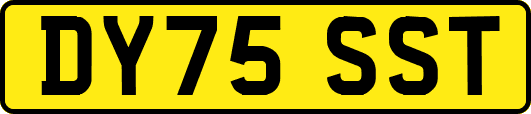 DY75SST