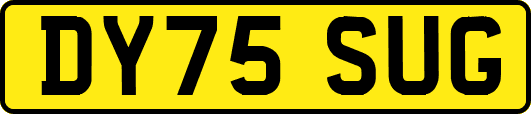 DY75SUG