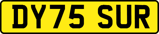 DY75SUR