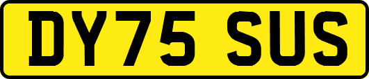DY75SUS