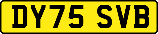 DY75SVB