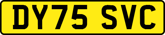 DY75SVC