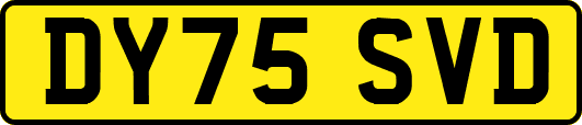 DY75SVD