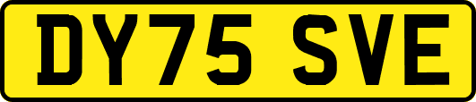 DY75SVE