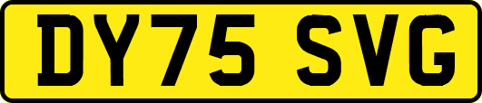 DY75SVG