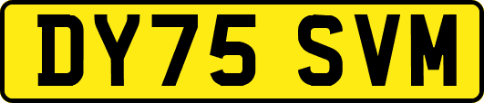 DY75SVM