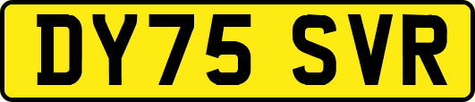 DY75SVR