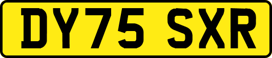 DY75SXR