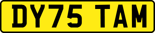 DY75TAM