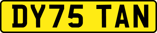 DY75TAN