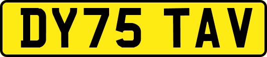 DY75TAV