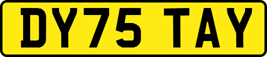 DY75TAY