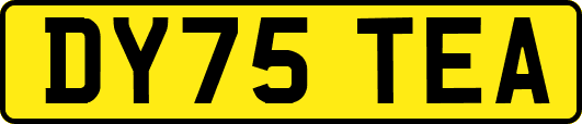 DY75TEA