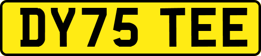 DY75TEE