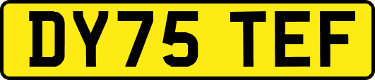 DY75TEF