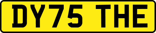 DY75THE