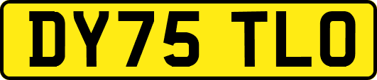 DY75TLO