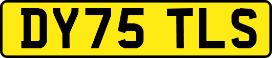 DY75TLS