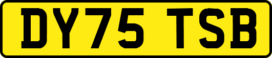 DY75TSB