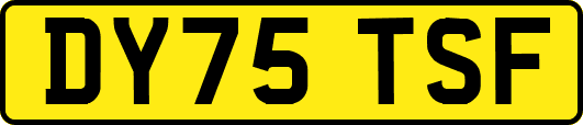 DY75TSF