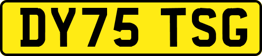 DY75TSG