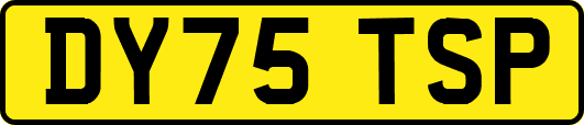 DY75TSP