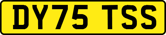 DY75TSS