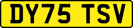 DY75TSV