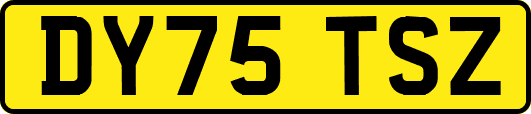 DY75TSZ