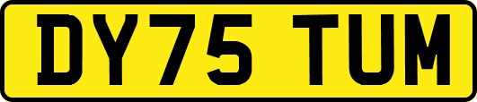 DY75TUM