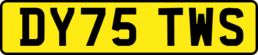 DY75TWS