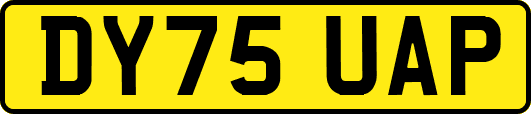 DY75UAP