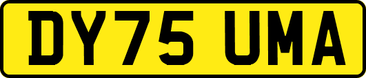 DY75UMA