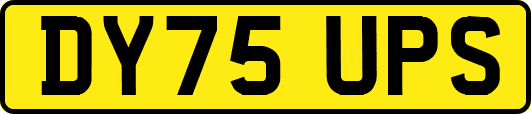 DY75UPS