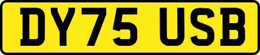 DY75USB