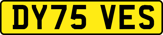 DY75VES