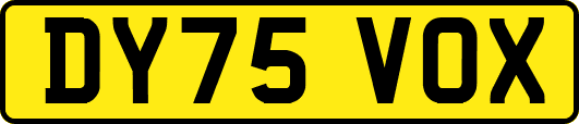 DY75VOX