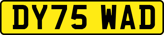 DY75WAD