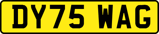 DY75WAG