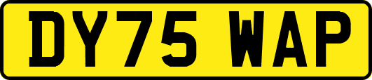 DY75WAP