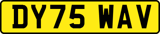DY75WAV